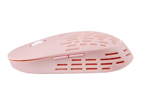 Tracer Punch - Mysz - optyczna - 5 przyciski - bezprzewodowa - 2.4 GHz - odbiornik bezprzewodowy USB - różowy
