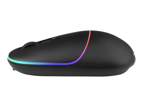 Tracer RATERO - Mysz - ergonomiczna - praworęczna - optyczna - 4 przyciski - bezprzewodowa - 2.4 GHz, RF - odbiornik bezprzewodo