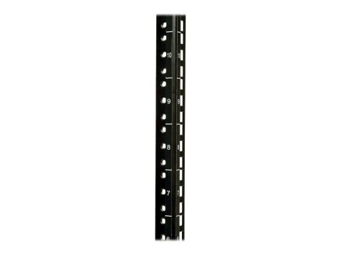 Eaton Tripp Lite Series 10U Wall Mount Rack Enclosure Server Cabinet w/Swinging Door Acrylic Window - Stojak szafa - do montażu 
