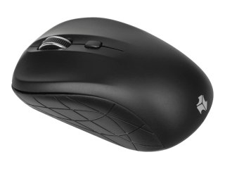 IBOX Rosella PRO - Mysz - prawo i leworęczna - optyczna - 3 przyciski - bezprzewodowa - 2.4 GHz - odbiornik bezprzewodowy USB - 