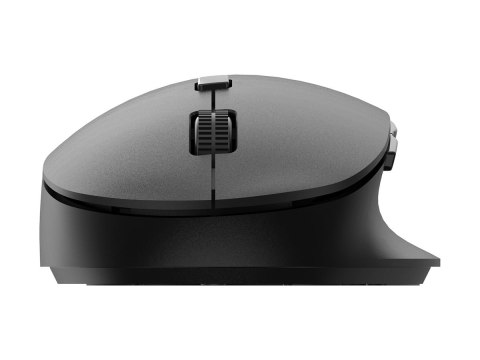 Philips 5000 Series SPK7507B - Mysz - ergonomiczna - praworęczna - optyczna - 6 przyciski - bezprzewodowa - 2.4 GHz - odbiornik 