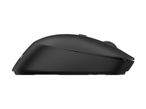 Philips 5000 Series SPK7507B - Mysz - ergonomiczna - praworęczna - optyczna - 6 przyciski - bezprzewodowa - 2.4 GHz - odbiornik 