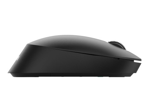 Philips SPK7407B - 4000 Series - mysz - ergonomiczna - prawo i leworęczna - optyczna - 4 przyciski - bezprzewodowa - 2.4 GHz, Bl
