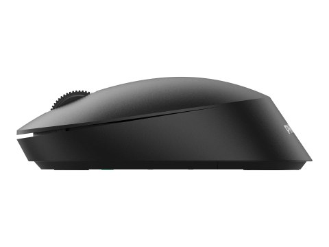 Philips SPK7407B - 4000 Series - mysz - ergonomiczna - prawo i leworęczna - optyczna - 4 przyciski - bezprzewodowa - 2.4 GHz, Bl