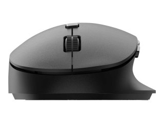 Philips SPK7607B - 6000 Series - mysz - ergonomiczna - praworęczna - optyczna - 7 przyciski - bezprzewodowa - 2.4 GHz, Bluetooth