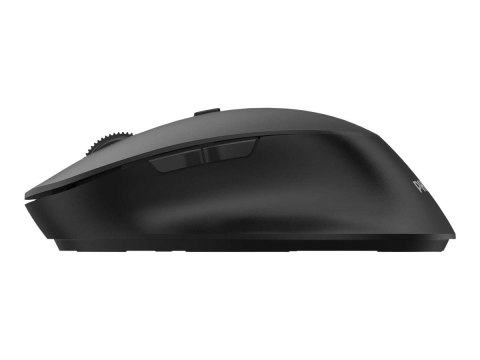 Philips SPK7607B - 6000 Series - mysz - ergonomiczna - praworęczna - optyczna - 7 przyciski - bezprzewodowa - 2.4 GHz, Bluetooth