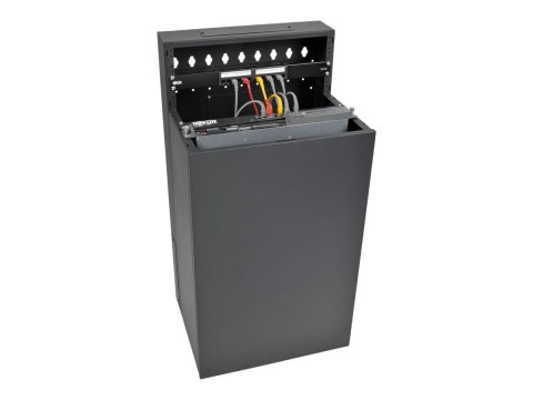 Eaton Tripp Lite Series 12U Wallmount Low Profile Vertical Rack Enclosure Server Cabinet - Stojak szafa - do montażu na ścianie 