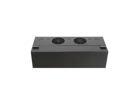 Eaton Tripp Lite Series 4U Wall Mount Low Profile Secure Rack Enclosure Cabinet Vertical - Stojak szafa - do montażu na ścianie 