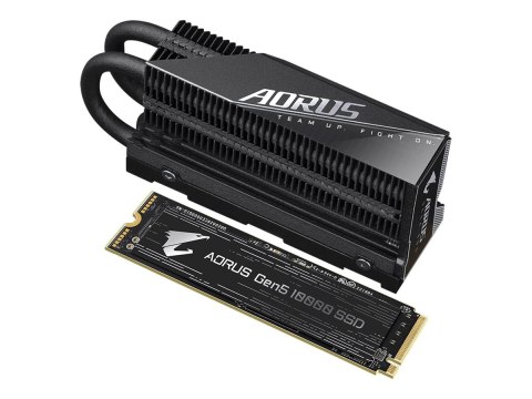 AORUS 10000 - SSD - 1 TB - wewnętrzny - M.2 2280 - PCI Express 5.0 x4 (NVMe) - radiator zintegrowany