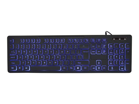 Gembird - Klawiatura - podświetlenie - USB - QWERTY - US - czarny - kolorowe pudełko