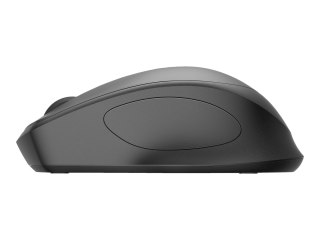HP 285 Silent - Mysz - ergonomiczna - optyczna - bezprzewodowa - 2.4 GHz - odbiornik bezprzewodowy USB
