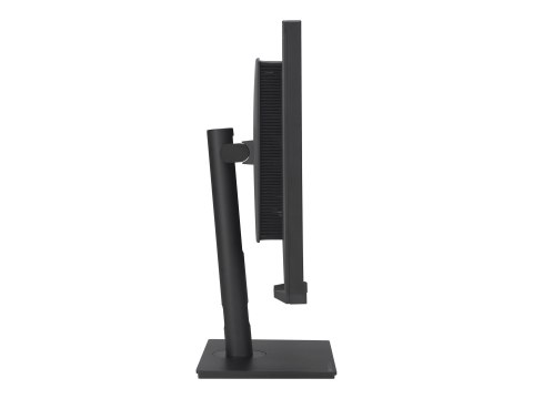 ASUS ProArt PA32UCXR - Monitor LED - 32" - 3840 x 2160 4K UHD (2160p) @ 60 Hz - IPS - 1600 cd/m² - 1000:1 - DisplayHDR 1400 - 5 