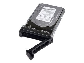 Dell - Zestaw Klienta - dysk twardy - 2.4 TB - hot-swap - 2,5" (w 3,5" obudowie) - SAS 12Gb/s - 10000 obr/min - dla PowerEdge R4