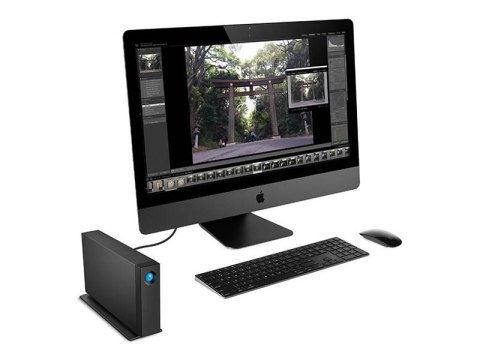 LaCie d2 Professional STHA24000800 - Dysk twardy - 24 TB - zewnętrzny (komputer stacjonarny) - USB 3.2 Gen 2 (USB-C złącze) - 72