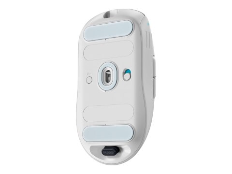 Alienware Pro Wireless Gaming Mouse - Mysz - optyczna - 6 przyciski - przewodowa, bezprzewodowa - USB, 2.4 GHz - światło księżyc