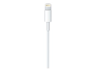 Apple USB-C to Lightning Cable - Kabel Lightning - USB-C męski do Lightning męski - 1 m
