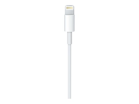 Apple USB-C to Lightning Cable - Kabel Lightning - USB-C męski do Lightning męski - 1 m