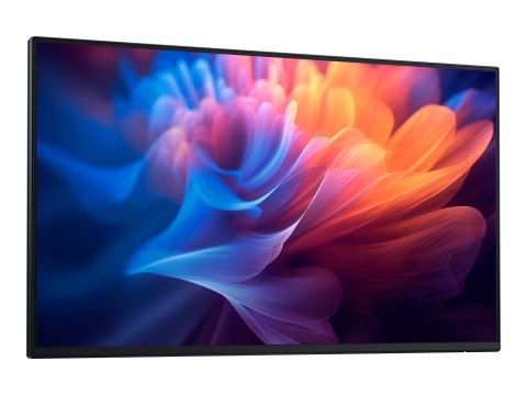 Dell P2725H - Bez podstawy - monitor LED - 27" - 1920 x 1080 Full HD (1080p) @ 100 Hz - IPS - 300 cd/m² - 1500:1 - 5 ms - HDMI, 