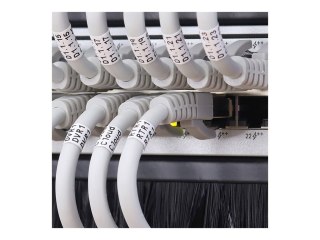 Qoltec - Listwa ze szczotką do obudowy - stal lita - czarny - 1U - 19"