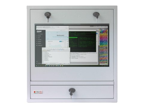 TECHly Professional - Jednostka szafy - dla wyświetlacz LCD / komputer / sprzęt komputerowy - zamknięcie - metal, szkło hartowan