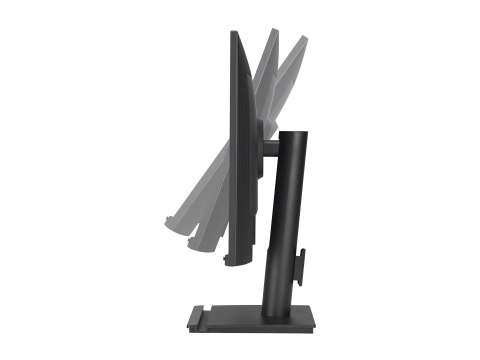 ASUS BE248QF - Monitor LED - 24.1" (24" widoczny) - 1920 x 1200 WUXGA @ 100 Hz - IPS - 370 cd/m² - 3000:1 - HDR10 - 5 ms - HDMI,
