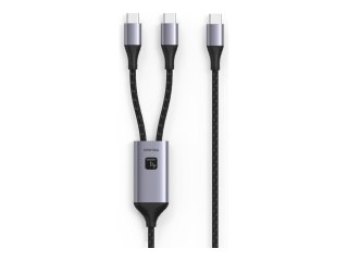 TECHly - Kabel zasilający - USB-C (M) do USB-C (M) - 1.5 m - Zasilanie USB (100 W) - czarny, srebrny