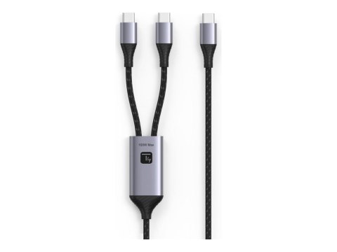 TECHly - Kabel zasilający - USB-C (M) do USB-C (M) - 1.5 m - Zasilanie USB (100 W) - czarny, srebrny