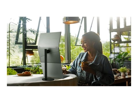 ASUS ZenScreen Duo OLED MQ149CD - Podwójny monitor OLED - 14" - przenośny - 1920 x 1200 Full HD (1080p) @ 60 Hz - 500 cd/m² - 10