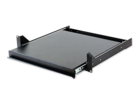 TECHly Professional - Półka klawiatury w obudowie - wysuwany - czarny, RAL 9005 - 2U - 19"