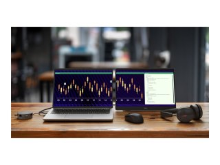 Dell Pro Plus P1425 - Monitor LED - 14" - przenośny - 1920 x 1200 WUXGA @ 60 Hz - IPS - 400 cd/m² - 1500:1 - 7 ms - 2xUSB-C - z 