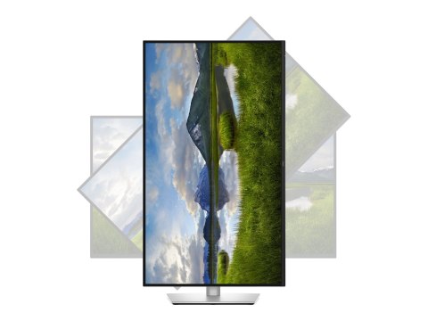 Dell Pro Plus P3225QE - Monitor LED - 32" (31.5" widoczny) - 3840 x 2160 4K @ 100 Hz - IPS - 350 cd/m² - 1500:1 - 5 ms - HDMI, D