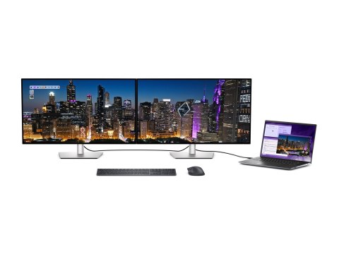 Dell UltraSharp U3225QE - Monitor LED - 32" (31.5" widoczny) - 3840 x 2160 4K @ 120 Hz - IPS - 450 cd/m² - 3000:1 - DisplayHDR 6