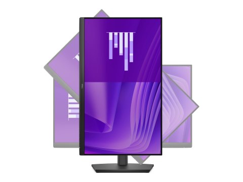 Dell Pro E2425HSM - Monitor LED - 24" (23.8" widoczny) - 1920 x 1080 Full HD (1080p) @ 100 Hz - IPS - 250 cd/m² - 1000:1 - 5 ms 