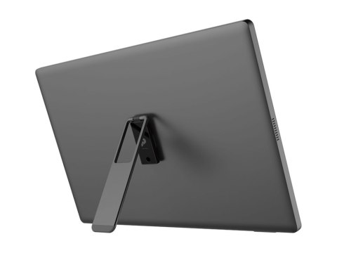 MSI PRO MP161 E2U - Monitor LED - 16" (15.6" widoczny) - przenośny - 1920 x 1080 Full HD (1080p) @ 60 Hz - IPS - 250 cd/m² - 800