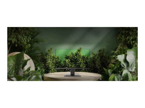 MSI PRO MP223 E2 - Monitor LED - 22" (21.45" widoczny) - 1920 x 1080 Full HD (1080p) @ 100 Hz - VA - 250 cd/m² - 3000:1 - 1 ms -