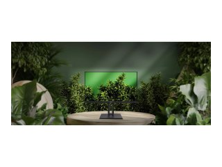 MSI PRO MP245PG - Monitor LCD - 24" (23.8" widoczny) - 1920 x 1080 Full HD (1080p) @ 100 Hz - 300 cd/m² - 1000:1 - 1 ms - HDMI, 