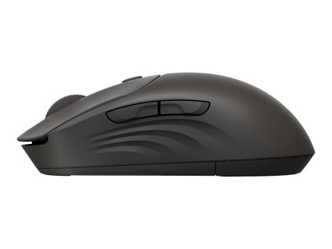 HP 405 - Mysz - cichy - prawo i leworęczna - optyczna - 5 przyciski - bezprzewodowa - Bluetooth 5.2, 2.4 GHz - odbiornik bezprze