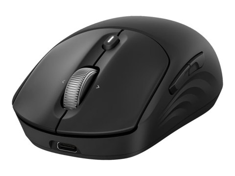 HP 705 - Mysz - z akumulatorem - bezprzewodowa