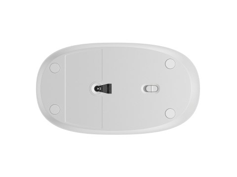 HP 240 - Mysz - prawo i leworęczna - optyczna - 3 przyciski - bezprzewodowa - Bluetooth 5.1 - odbiornik bezprzewodowy USB - czer