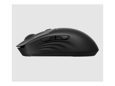 HP 705 - Mysz - z akumulatorem - bezprzewodowa