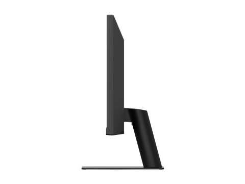 LG UltraWide 29U511A-B - Monitor LED - 29" - 2560 x 1080 UWFHD @ 100 Hz - IPS - 250 cd/m² - 1000:1 - HDR10 - 1 ms - HDMI, Displa