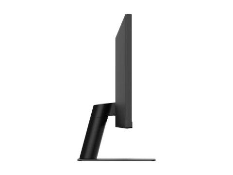 LG UltraWide 29U511A-B - Monitor LED - 29" - 2560 x 1080 UWFHD @ 100 Hz - IPS - 250 cd/m² - 1000:1 - HDR10 - 1 ms - HDMI, Displa