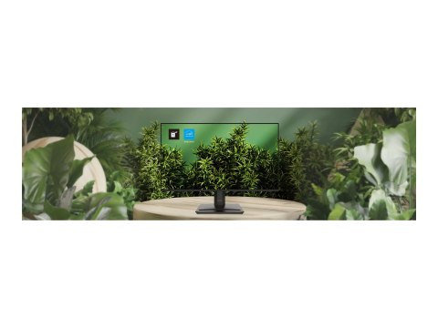MSI PRO MP251 E2 - Monitor LED - 25" (24.5" widoczny) - 1920 x 1080 Full HD (1080p) @ 120 Hz - IPS - 300 cd/m² - 1500:1 - 1 ms -