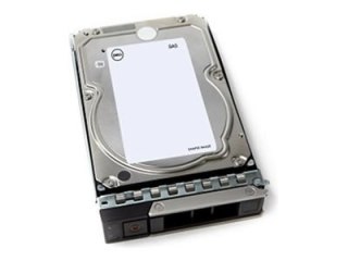 Dell - Zestaw Klienta - dysk twardy - 4 TB - 512n, ISE - 3,5" - SAS 12Gb/s - 7200 obr/min - dla PowerEdge T160
