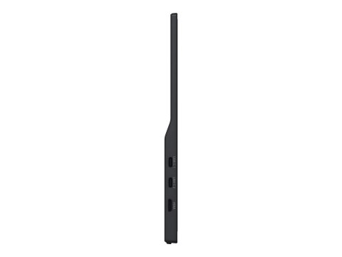 Iiyama ProLite P1671HSC-B1 - Monitor LED - 15.6" - obudowa otwarta - 1920 x 1080 Full HD (1080p) @ 60 Hz - IPS - 250 cd/m² - 100