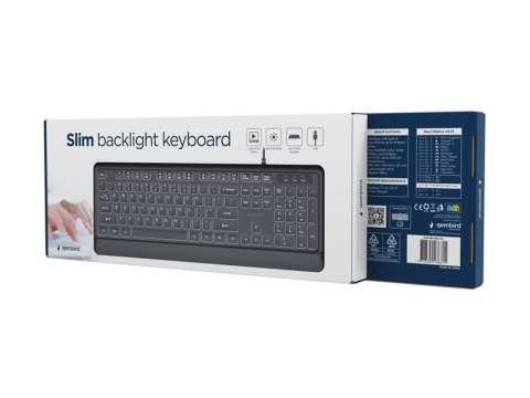 Gembird - Klawiatura - Cienki - full size - podświetlenie - USB, USB-C - QWERTY - US - czarny