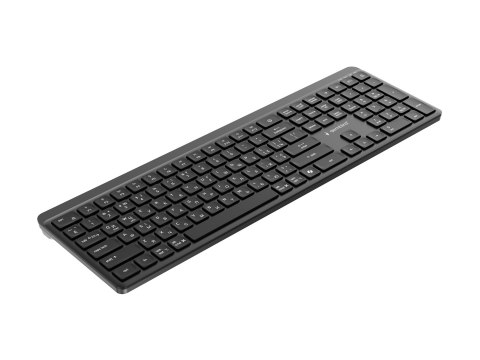 Gembird - Klawiatura - tryb podwójny, dla biznesu, smukły - full size - bezprzewodowa - 2.4 GHz, Bluetooth 5.1 - Cyrylica - czar