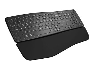Natec PORIFERA - Klawiatura - full size - podświetlenie - bezprzewodowa - 2.4 GHz, Bluetooth - QWERTY - US - czarny