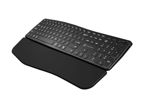 Natec PORIFERA - Klawiatura - full size - podświetlenie - bezprzewodowa - 2.4 GHz, Bluetooth - QWERTY - US - czarny