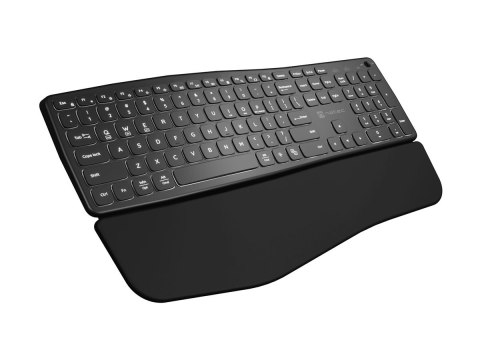 Natec PORIFERA - Klawiatura - full size - podświetlenie - bezprzewodowa - 2.4 GHz, Bluetooth - QWERTY - US - czarny